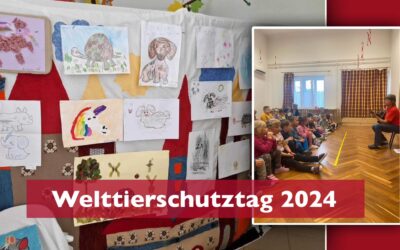 Welttierschutztag 2024