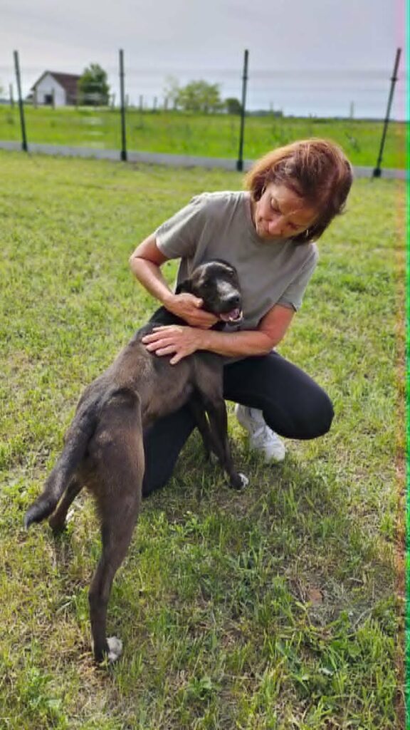 Frau streichelt Hund im Freien