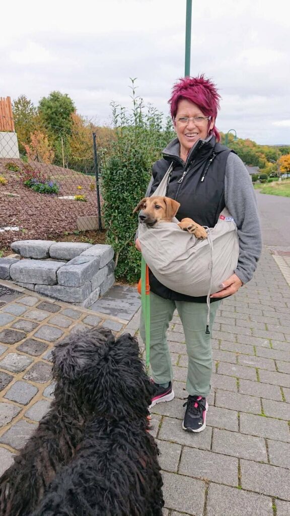Frau trägt Hund im Beutel