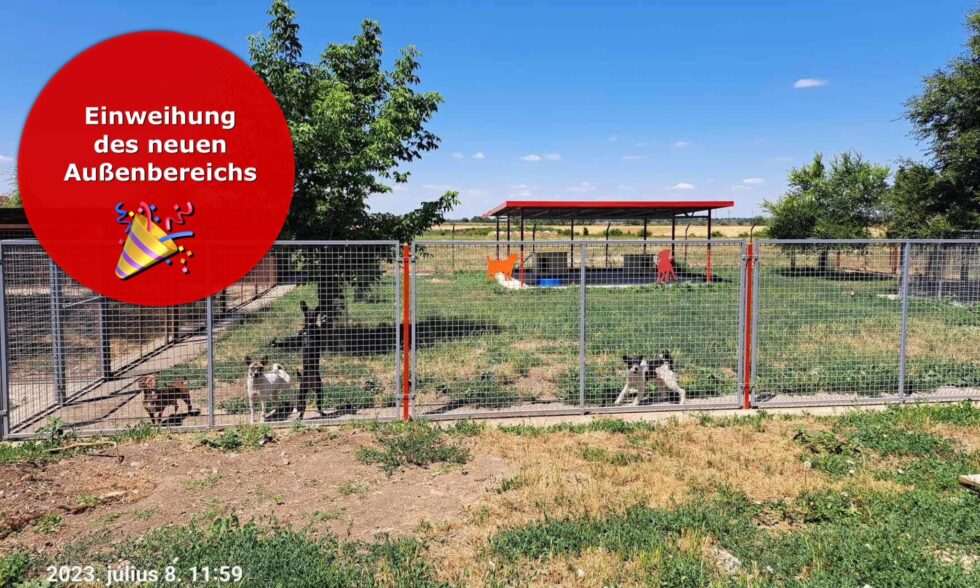 Tierheim neues Außengelände