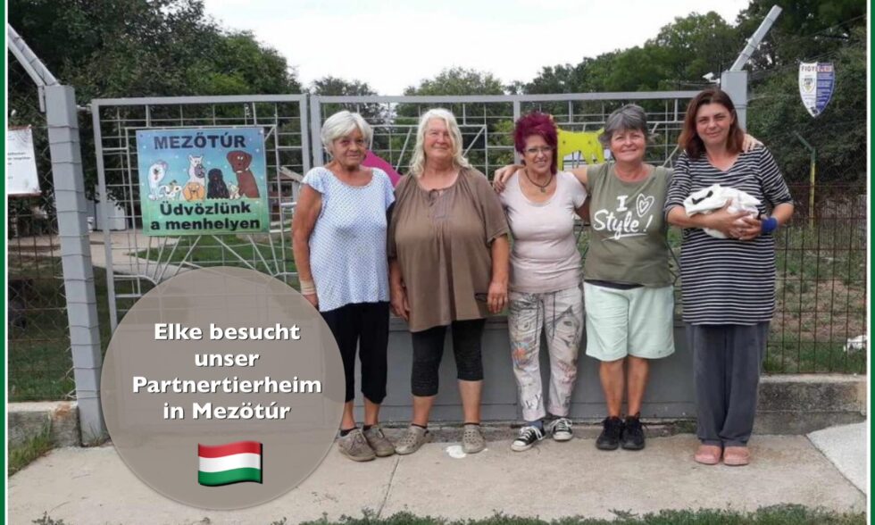 Tierheimbesuch in Mezőtúr