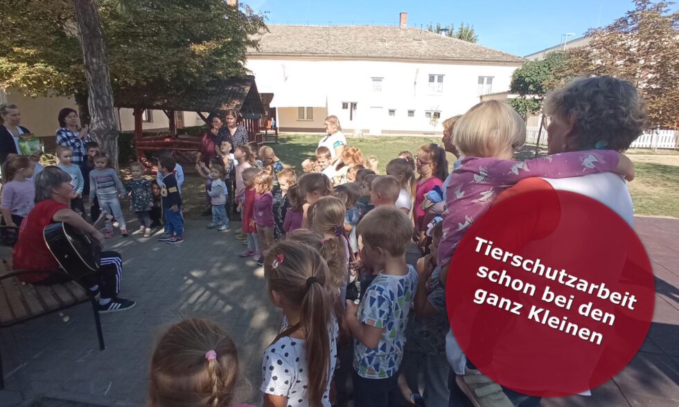 Kinder im Tierheim lernen