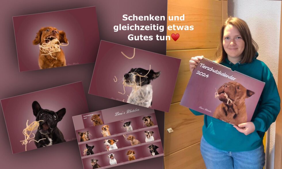 Hundekalender 2024 mit Spendenaktion
