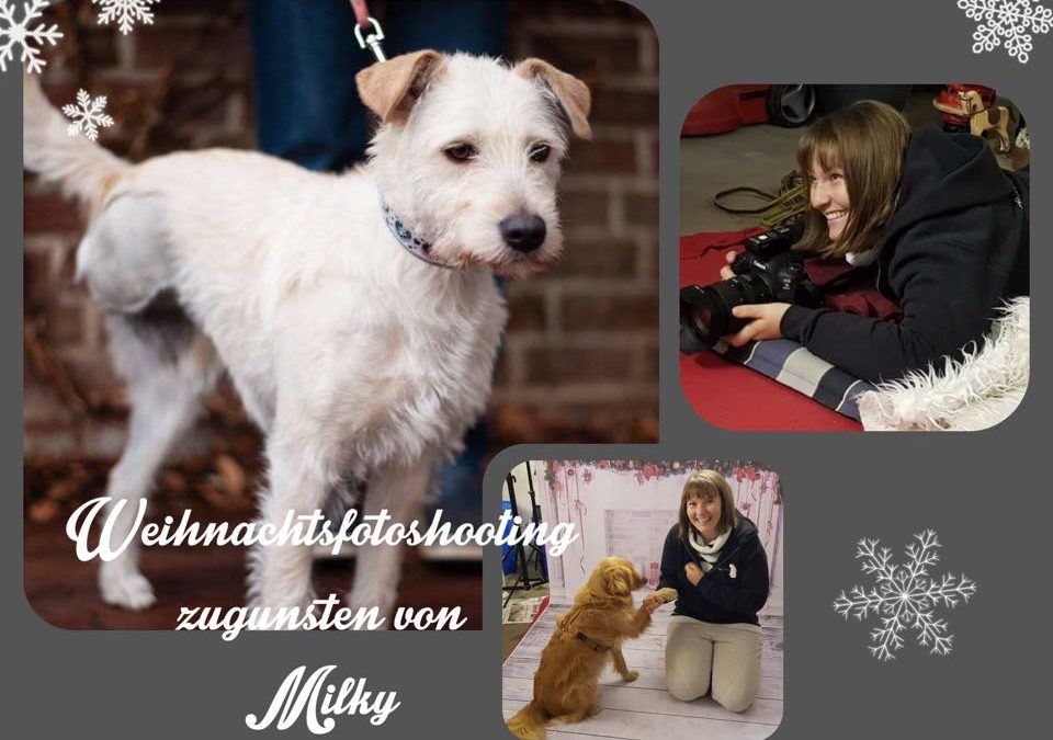 Weihnachtsfotoshooting zugunsten von Milky