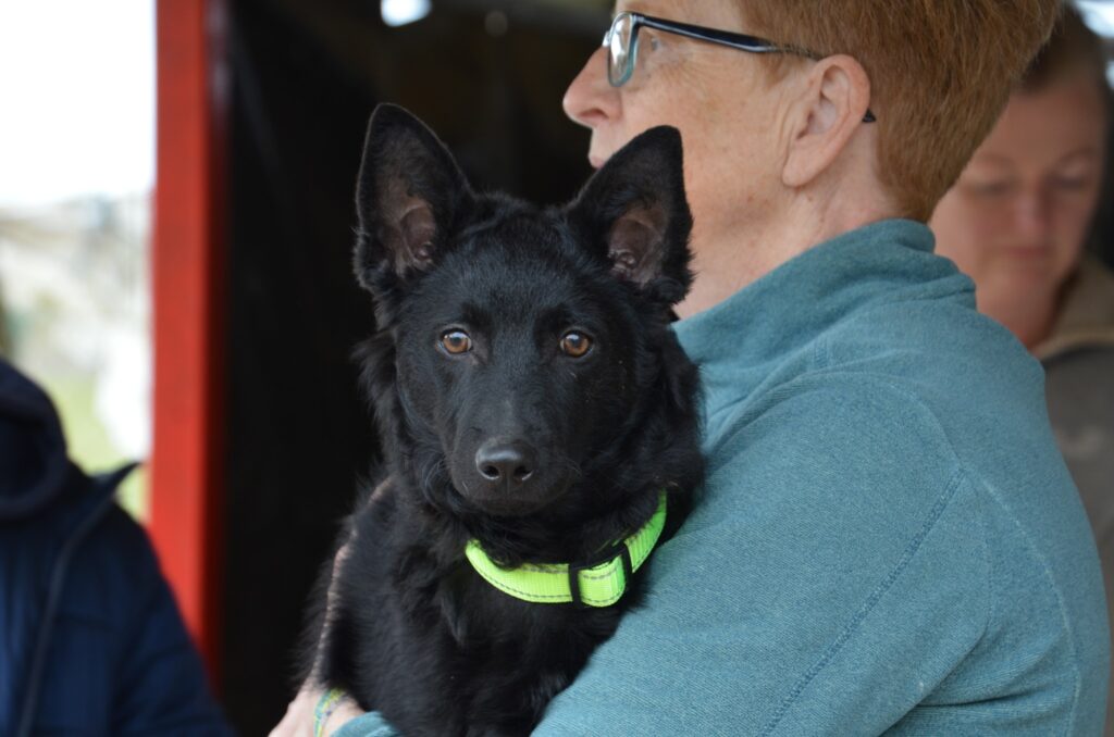 Schwarzer Hund auf Arm