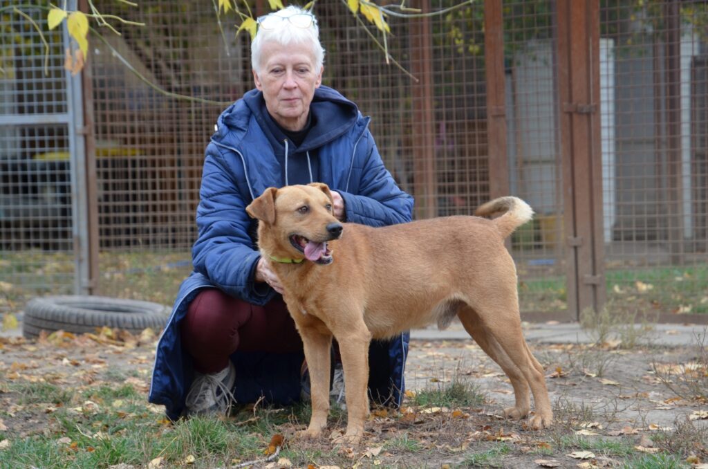 Frau mit Hund im Tierheim