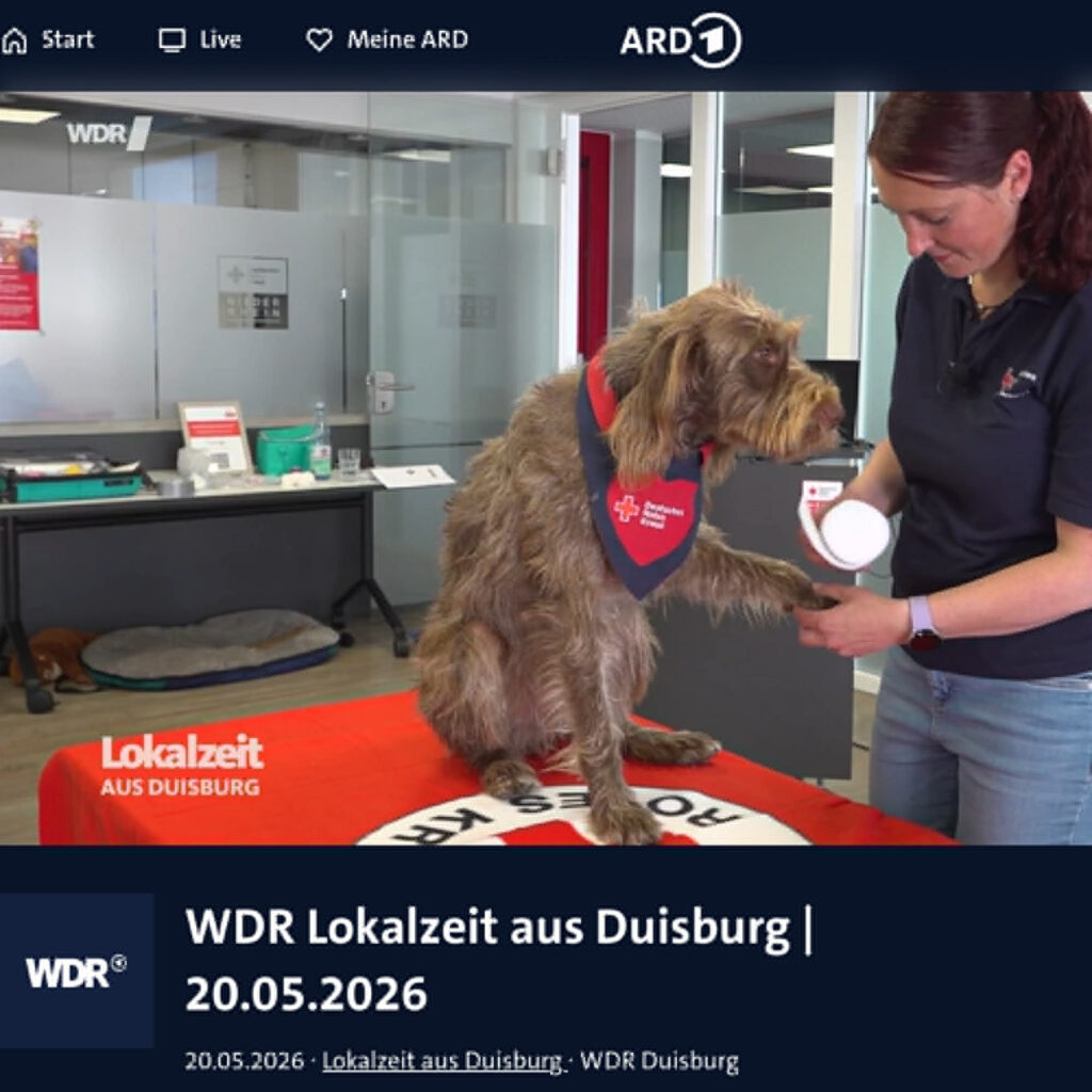 Hund und Mensch im Bild