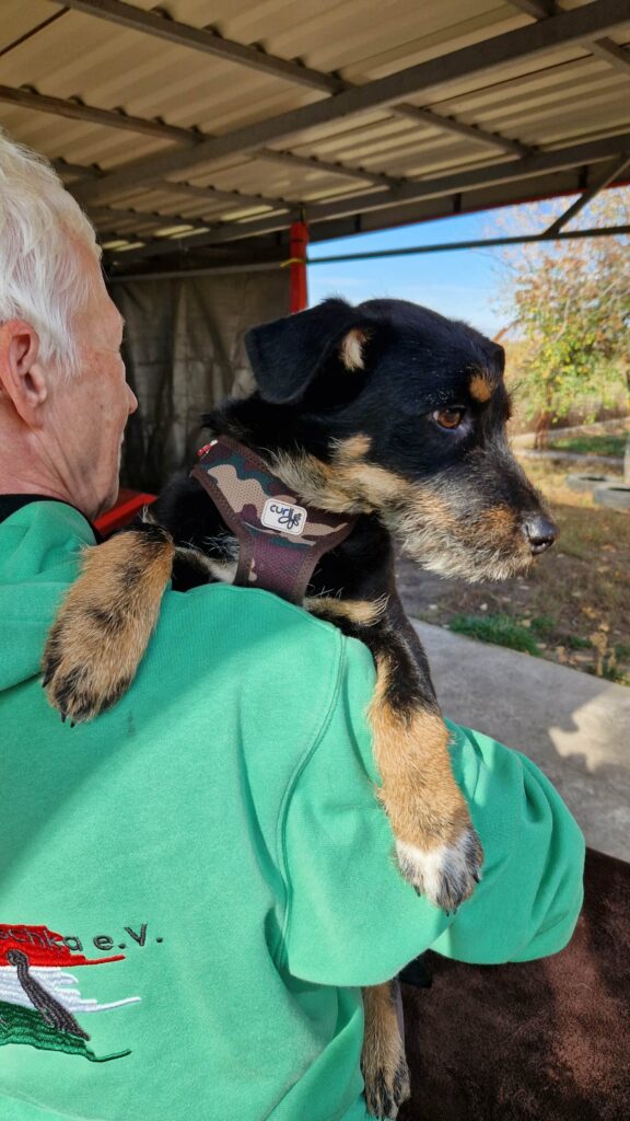 Mann hält Hund auf Arm