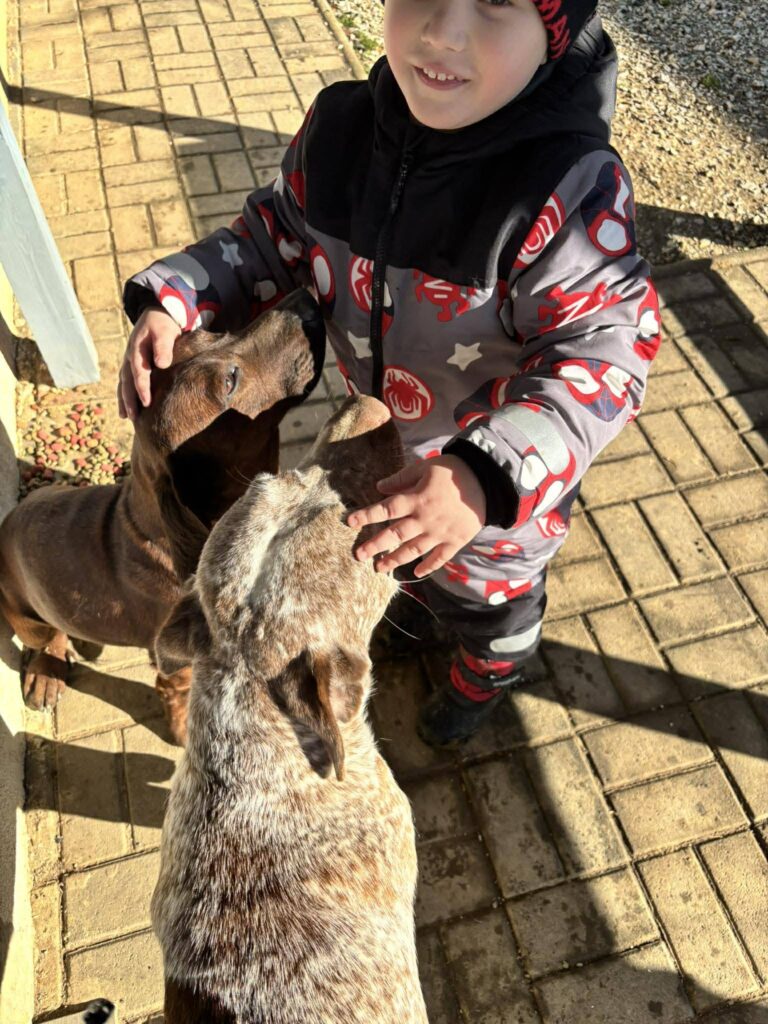 Kind mit zwei Hunden