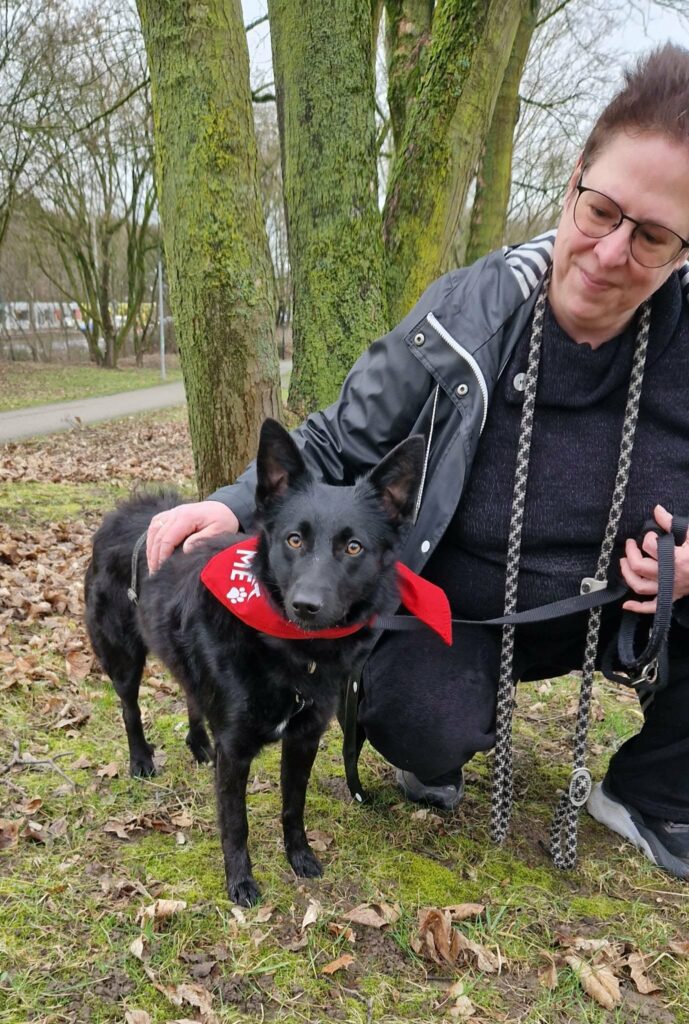 Schwarzer Hund mit rotem Halstuch