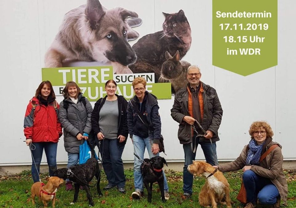 Tiere suchen Zuhause Sendetermin