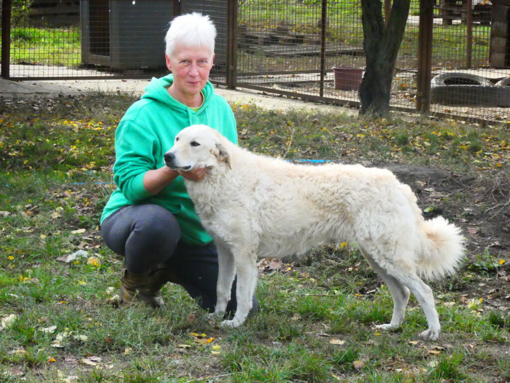Hündin mit Pflegerin im Tierheim