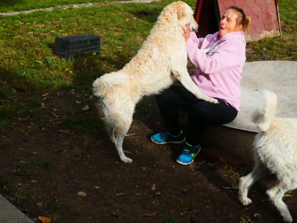 Frau mit hellem Hund