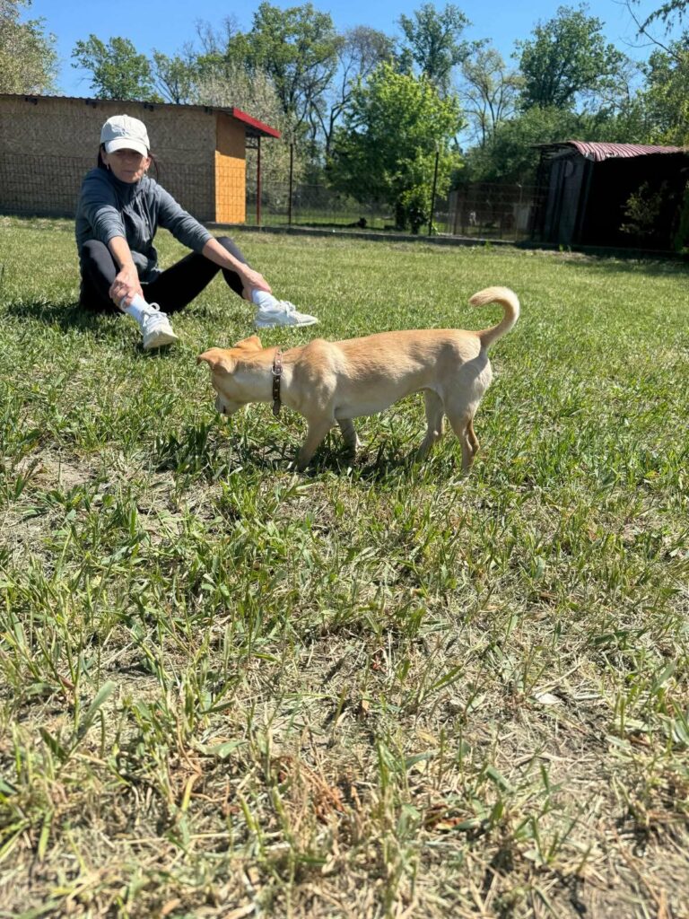 Mann spielt mit Hund im Freien