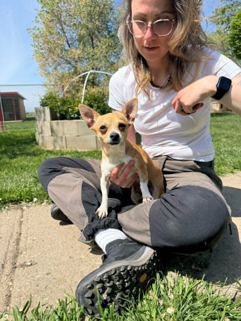 Frau und Chihuahua im Freien