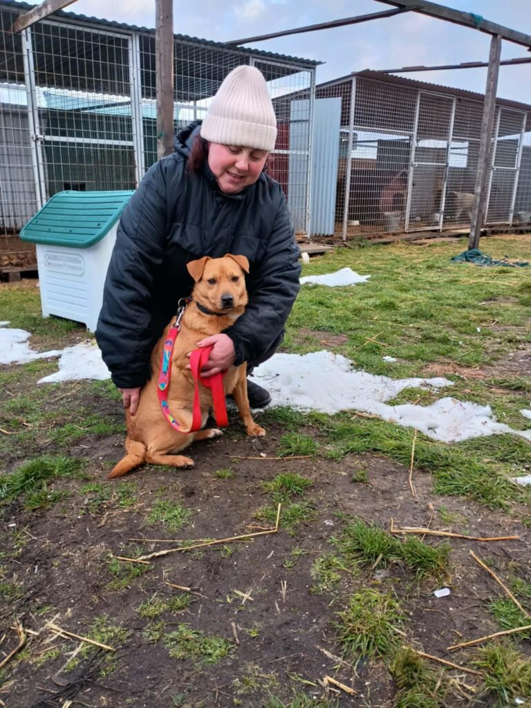 Frau mit Hund im Tierheim